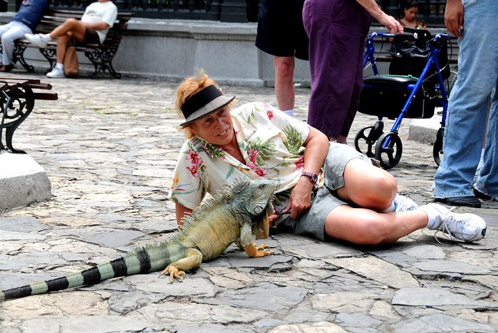 Classic Ecuador Tour 8D - 7N - Photo 1 of 20