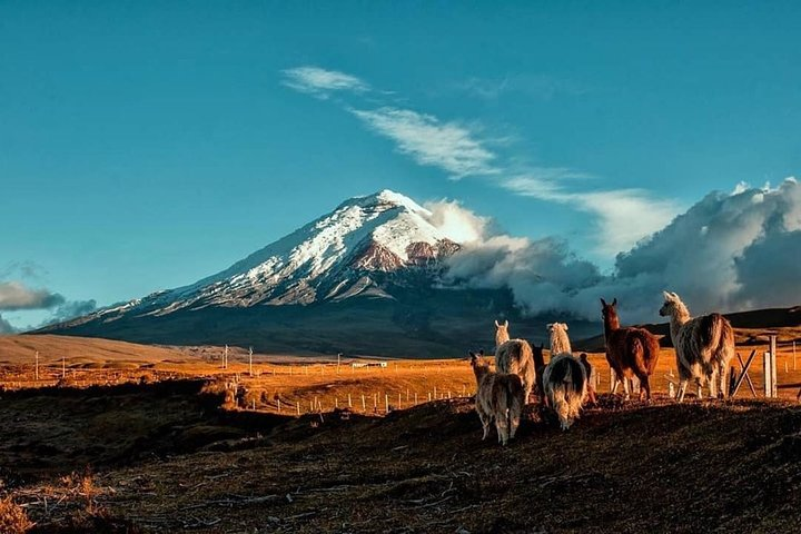 Cotopaxi Hike & Horse - Photo 1 of 6