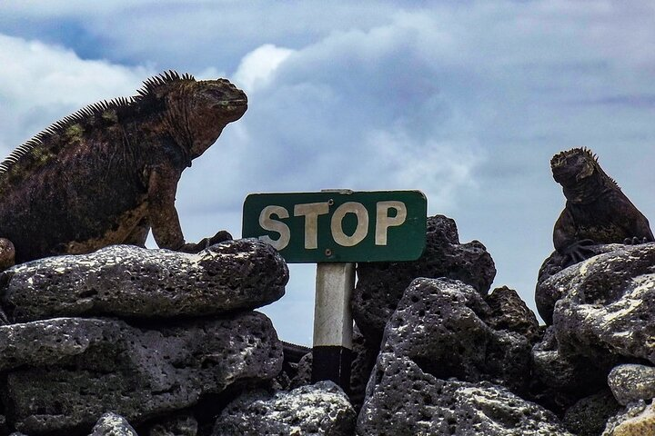 Floreana Island Full Day Tour Including Hiking and Snorkeling - Photo 1 of 10