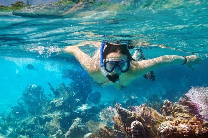 San Cristobal Galapagos 360 - Snorkeling Tour (Kicker Rock) - Photo 1 of 13