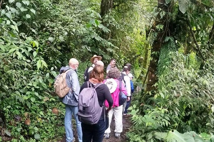 Full-Day Private Birding Tour in La Paz Refuge & Hummingbirds - Photo 1 of 8