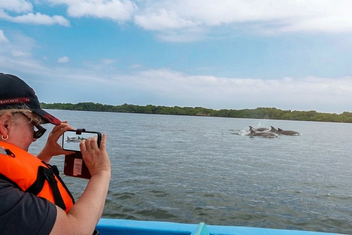 Full Day Dolphins Mangroves and Birdwatching Tour from Guayaquil - Photo 1 of 19