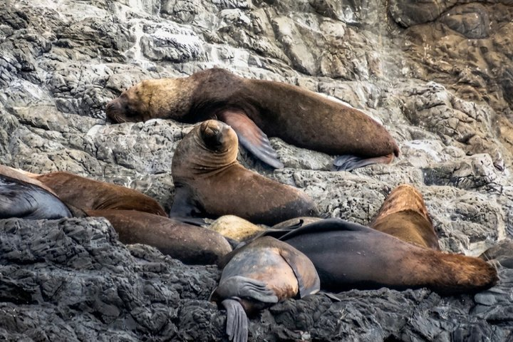 Full Day Isla Salango Snorkeling and Seabird Tour from Guayaquil - Photo 1 of 16