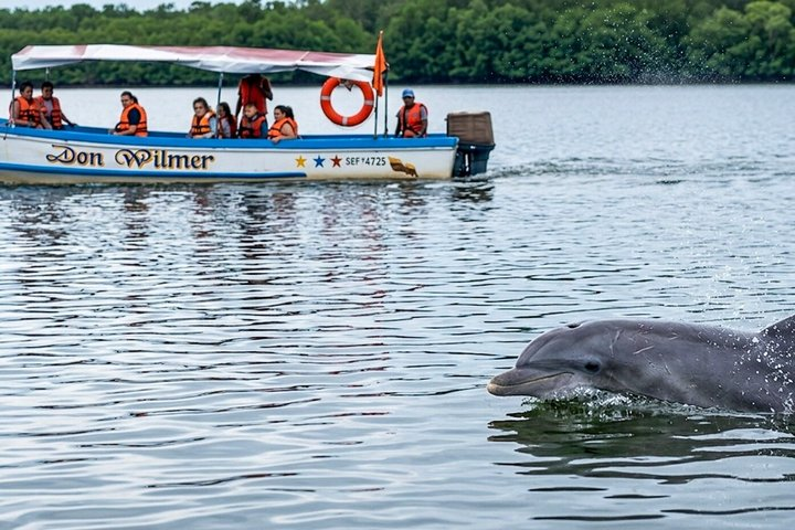 Full Day Tour Mangroves Dolphins and Cocoa Farm from Guayaquil - Photo 1 of 18
