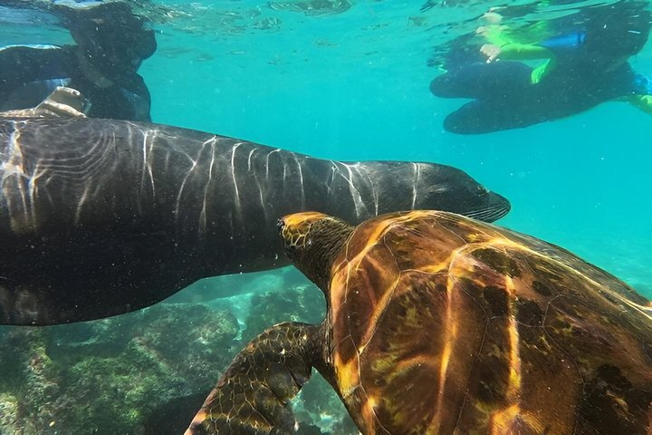 Full Day Tour Pinzon Island + La Fe/Las Palmas - Snorkeling & Fishing - Photo 1 of 16