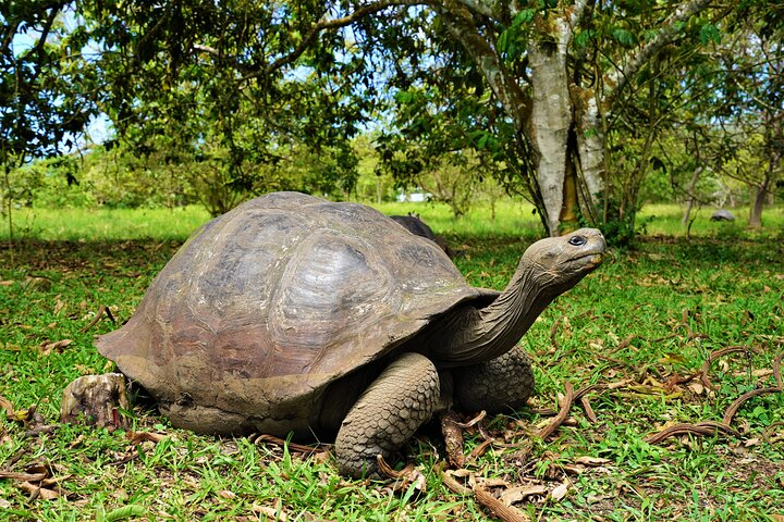 Galapagos Multisport Expedition 8 days - Photo 1 of 13