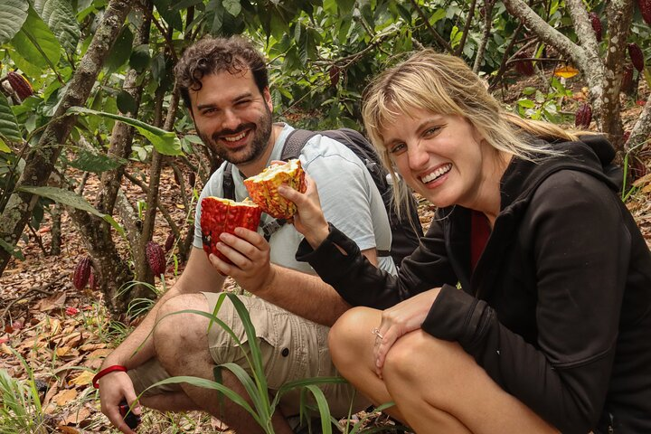 Cocoa, discovered through its different stages, is a magical fruit that contains not only unique flavors, but also a great history and tradition.