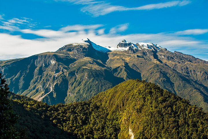 Nature and Birding Experience in Yanachocha Reserve - Photo 1 of 6