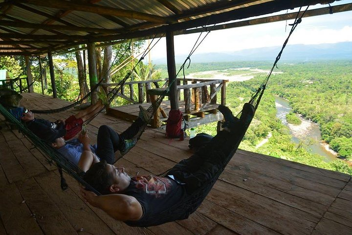 One day tour in the jungle. all inclusive. - Photo 1 of 6