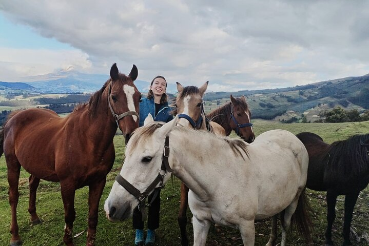 Authentic Quito: Old Town, Domes & National Museum - Photo 1 of 3