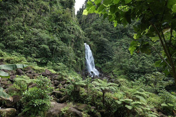 Taste Ecuador: A Culinary Journey Through Quito - Photo 1 of 12