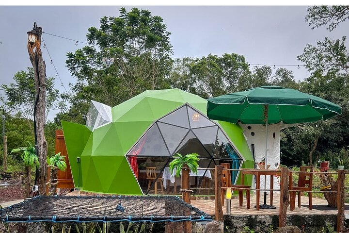 Giant Tortoises & Lava Tunnels Experience with Dome Stay - Photo 1 of 25