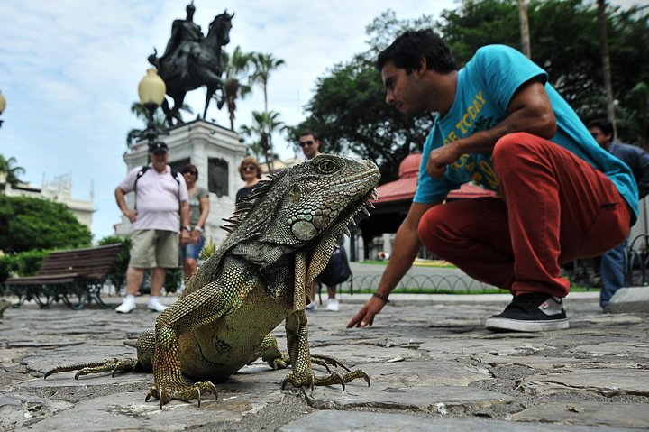 Private Guayaquil City Tour - Photo 1 of 8