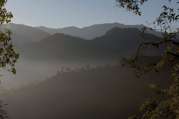 The Mindo cloud forest is one of the best destinations for hiking and bird watching