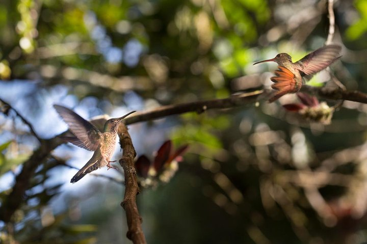 Amazing Biodiversity!! 