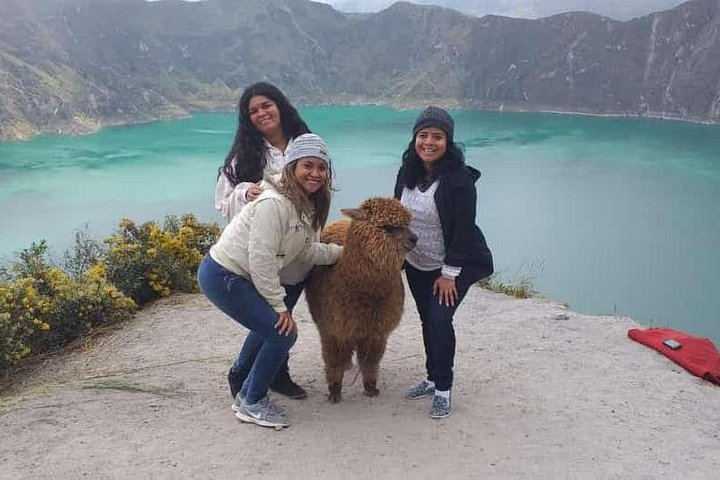 Box or Buggy's for Rent by the Hour - Visit the Best Places - Photo 1 of 25