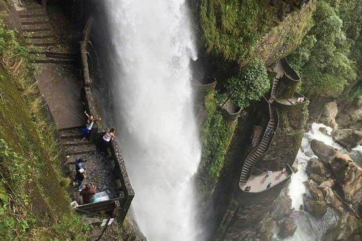 Yasuni Tours - 4 Days 3 Nights - From Puyo, Pastaza - Ecuador  - Photo 1 of 25
