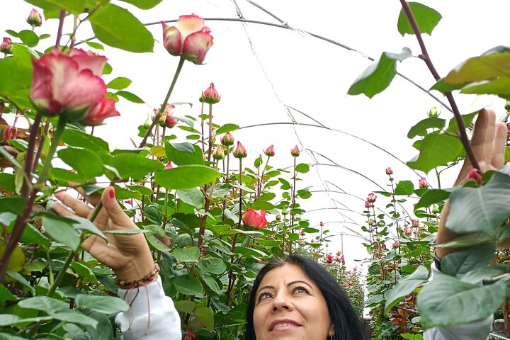 Photoshoot Flyingdress Ecuador  - Photo 1 of 7