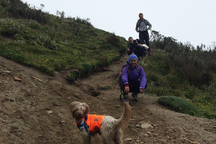 Ruco Pichincha Summit Hike  - Photo 1 of 25