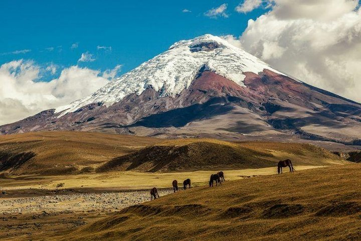 COTOPAXI NATIONAL PARK