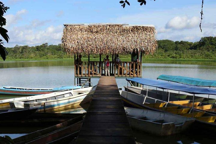 Tour Amazon Yasuni 3D - 2N - Photo 1 of 8