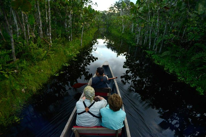 Tour Amazon Yasuni 5D - 4N - Photo 1 of 12