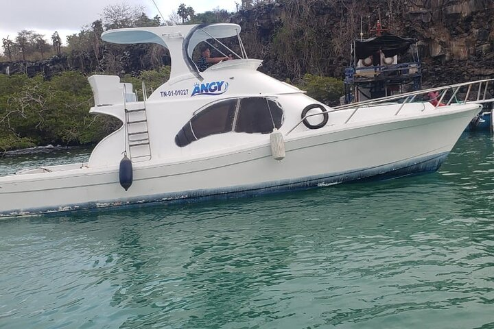 Transfer from Isabela Island to Santa Cruz Island - Photo 1 of 17