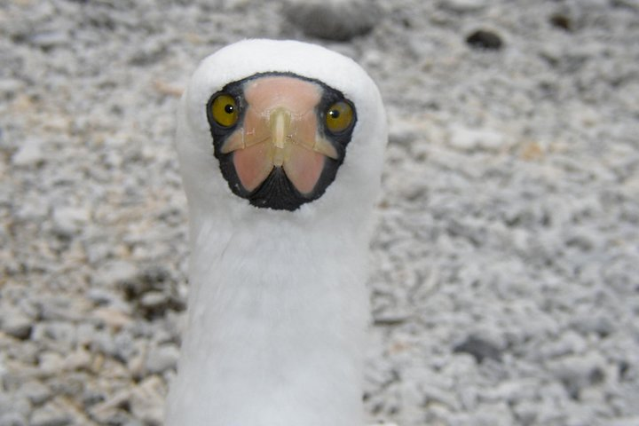 Visit to Spanish island * (San Cristobal) * - Photo 1 of 6