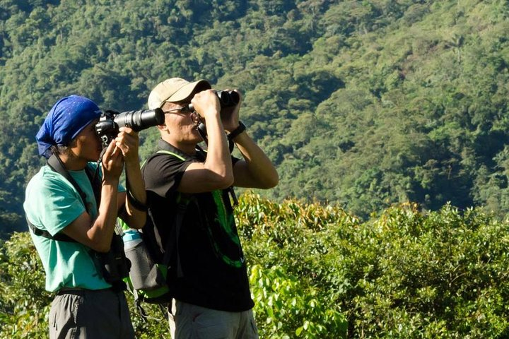 Wildlife Encounter Mindo Tour from Quito - Photo 1 of 7
