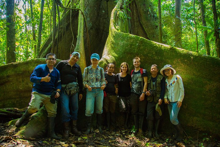Yasuni National Park 3 days 2 nights in the Amazon of Ecuador,comfortable rooms  - Photo 1 of 15