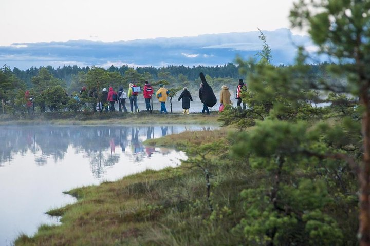 Day Tour to Magical Bog Shoe Walking tour - Photo 1 of 4