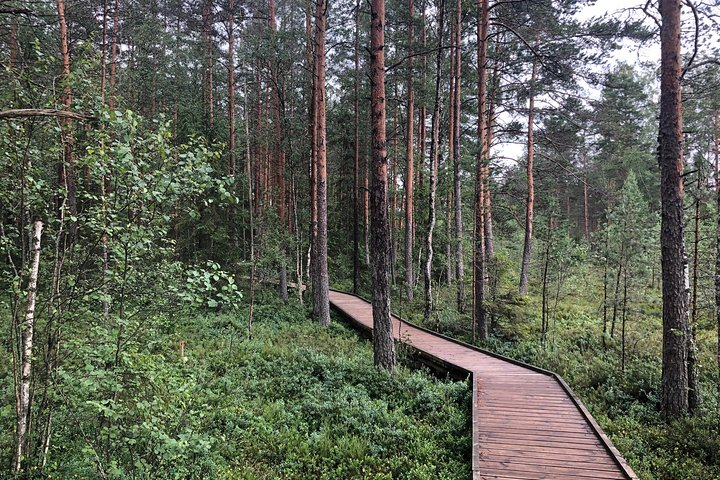 Lahemaa national park in Estonia - Photo 1 of 9