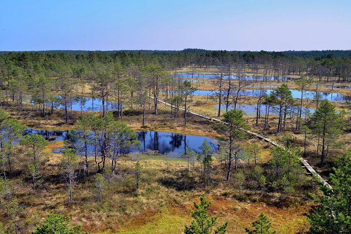 ©PrangliTravel - Admire the bog landscape on a view tower