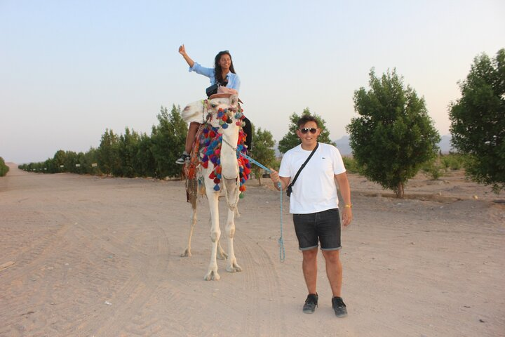  1 Hour Camel Ride Adventure and Safari Jeep 4*4 in farm-Hurghada
