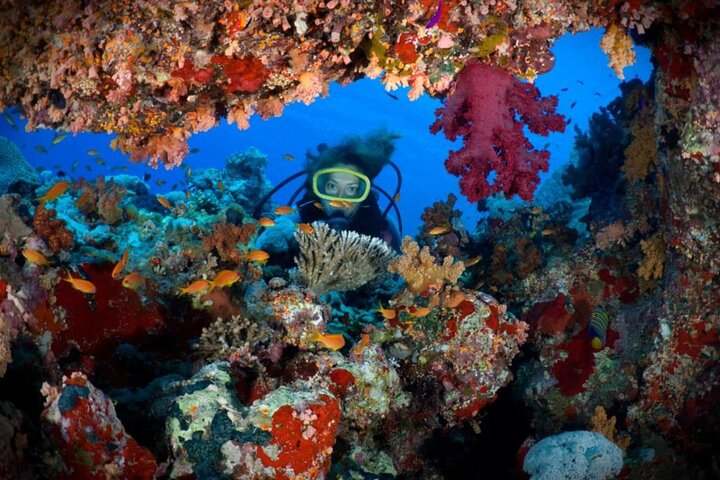 2 Diving stops at the most beautiful coral reefs Hurghada  - Photo 1 of 22