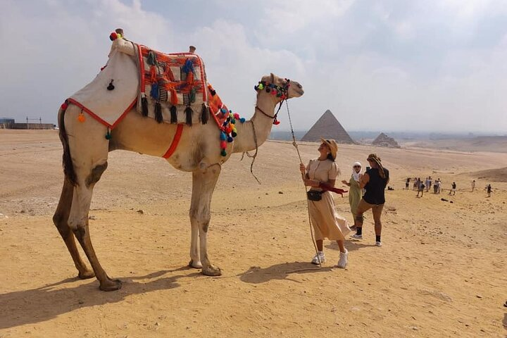 2 Hour Private Camel Ride Around Giza Pyramids Gate - Photo 1 of 19