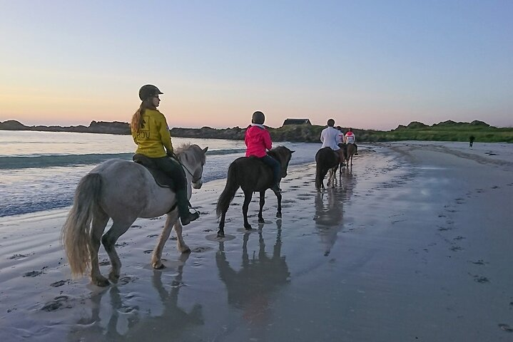 Marsa Alam: Sea and Desert Horse Riding Tour - Photo 1 of 6