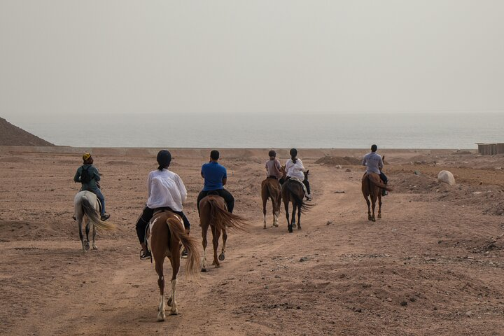 3-Day Horseback Riding Expedition in the Sinai Desert - Photo 1 of 7