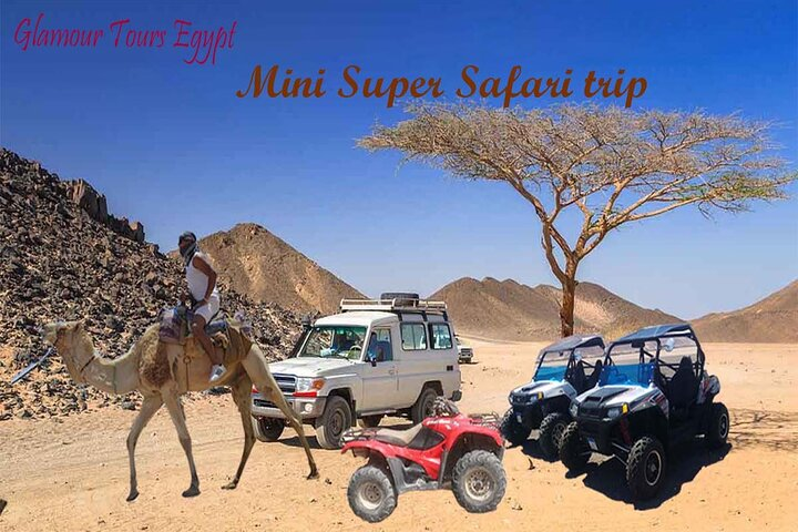 3 hours Mini Super Safari (Family Safari) - Photo 1 of 23