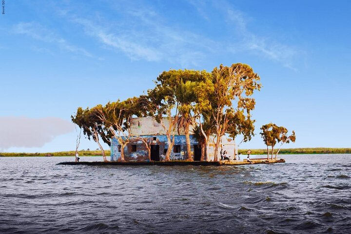 4 Days 3 Nights Tour Package to Cairo& Shakhloba Island  - Photo 1 of 13