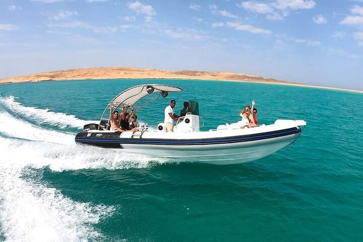 4-Hour Swim with Dolphins in a Private Speedboat in Hurghada - Photo 1 of 14