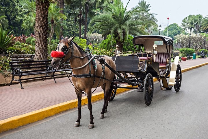 4-Hour Walking and Horse Carriage City Tour of Cairo - Photo 1 of 6