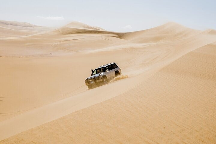 4x4 Desert Safari, Sandsurf, and Camel Ride from cairo with Lunch - Photo 1 of 5