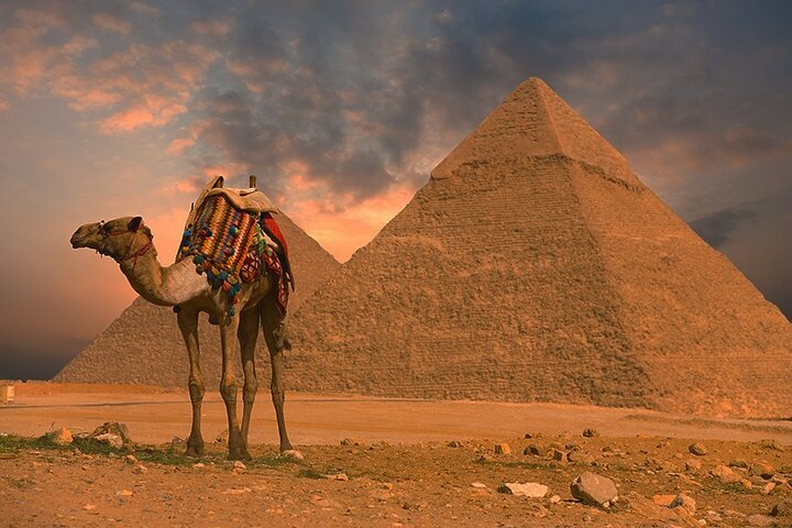 Pyramid and camel
