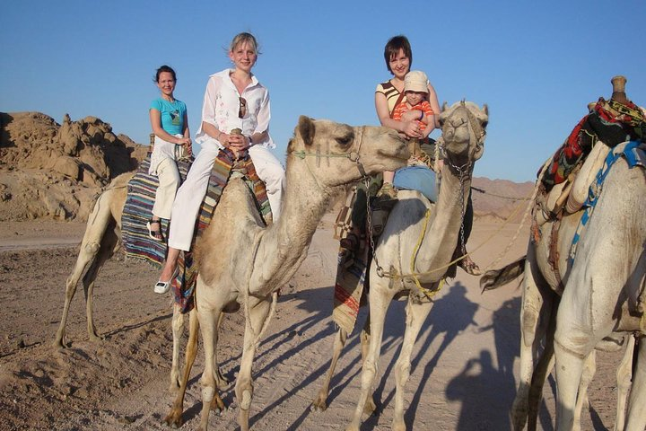 5 in 1 desert adventure in Sharm el Sheikh - Photo 1 of 2