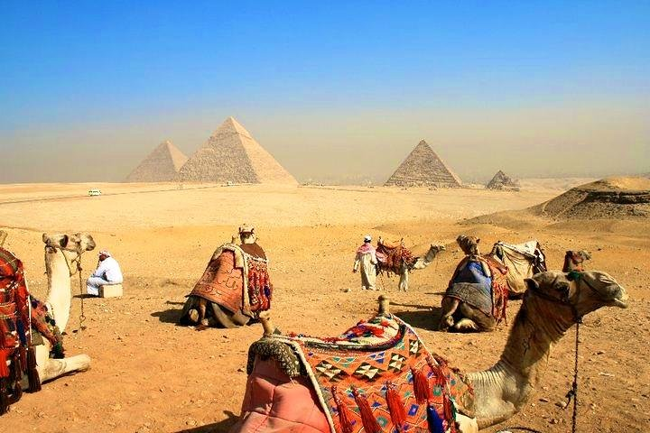 Camel ride in the open desert of the pyramids of Giza