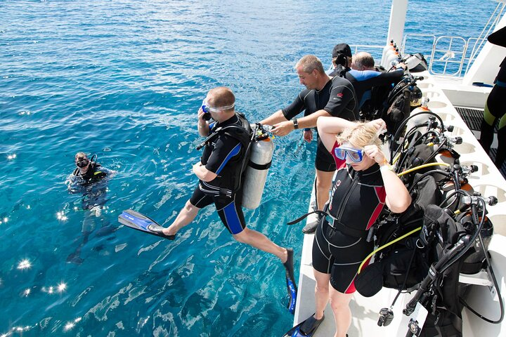 8 Hours Snorkeling with Lunch and Transfer in Sharm El-Sheikh - Photo 1 of 9