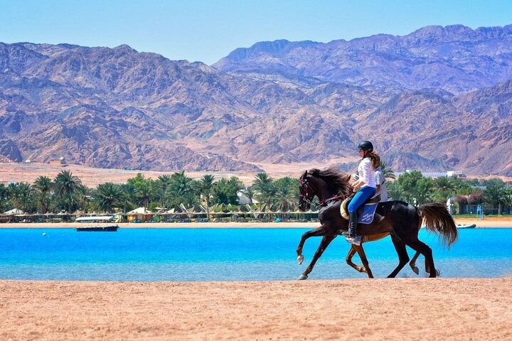 Adventure Safari By Horse In Dahab At Laguna Beach - Photo 1 of 7
