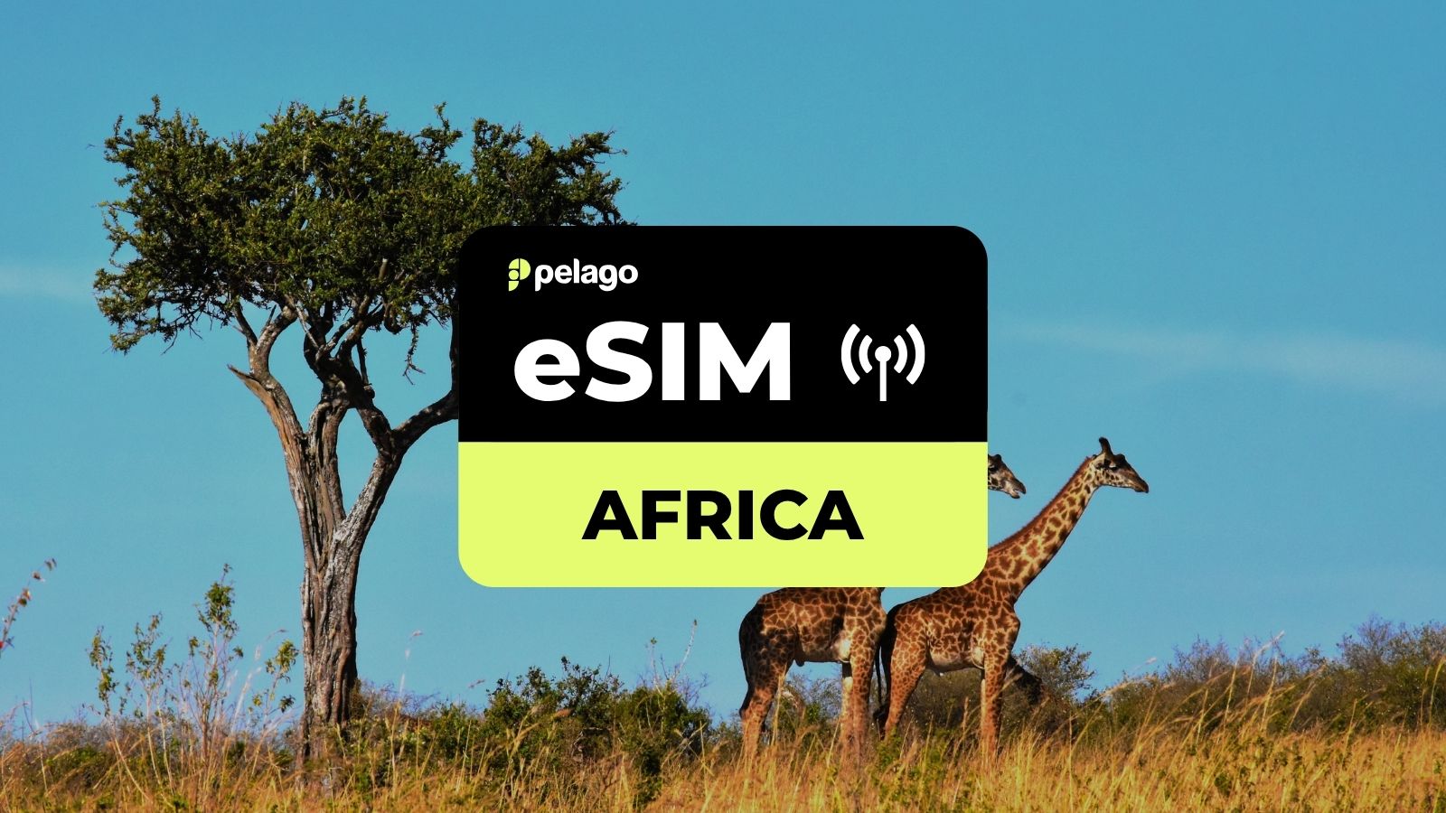 Africa eSIM by Pelago - Photo 1 of 4