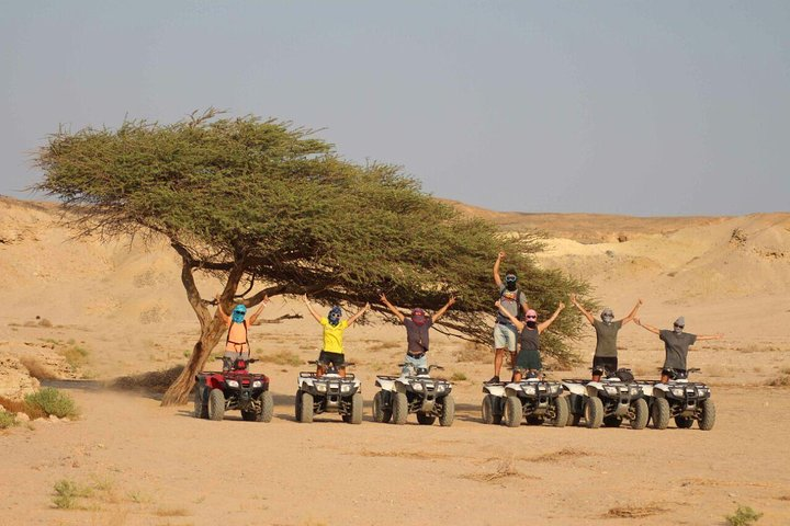Aladin Safari Excursions From Marsa Alam - Photo 1 of 3